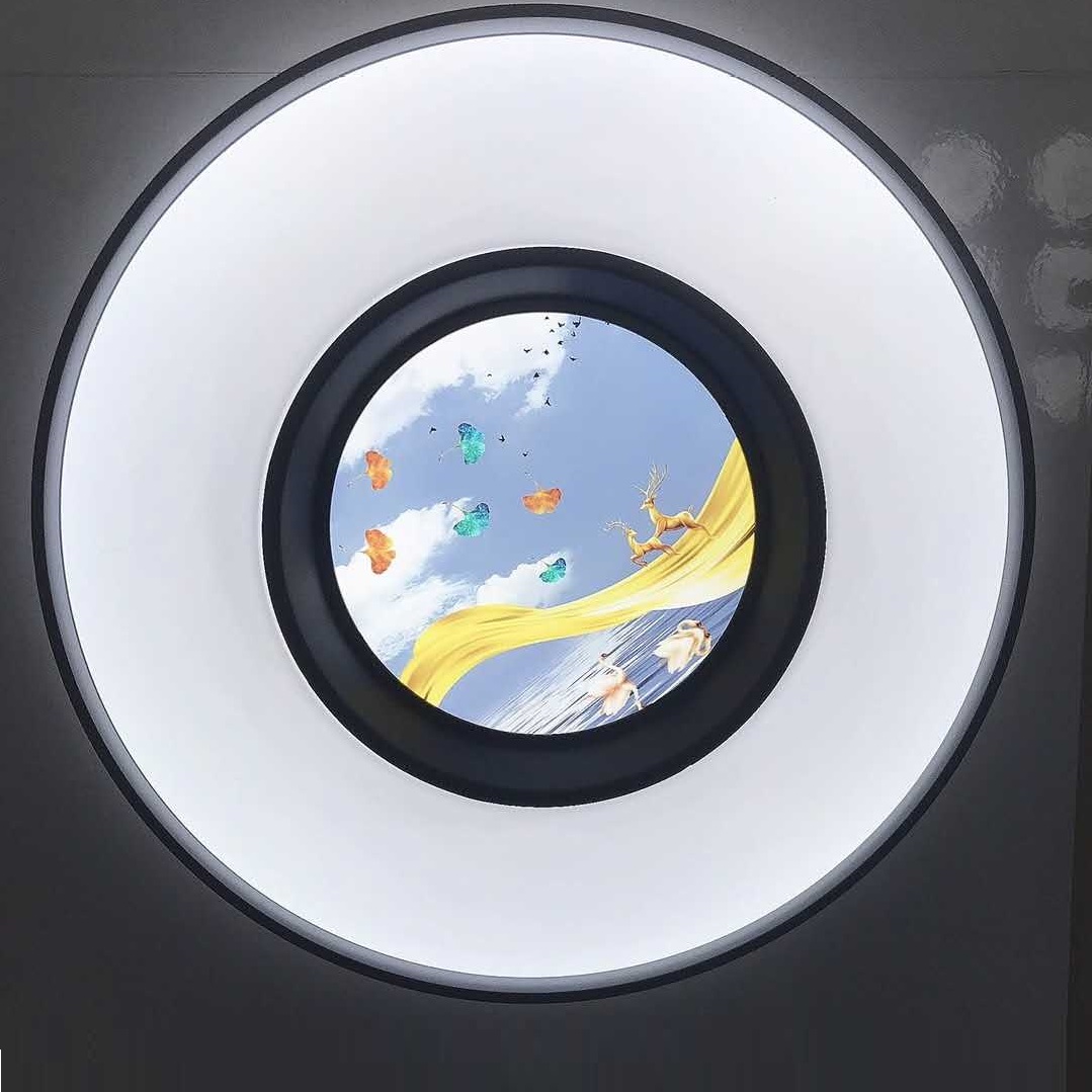 Home bedroom living room beautiful elk round energy saving LED ceiling light