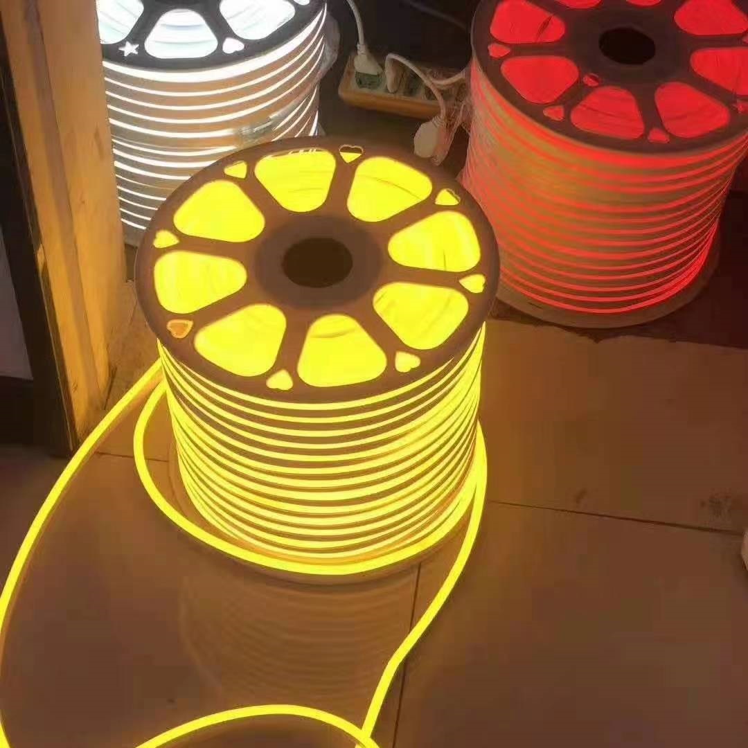 Waterproof Flexible Neon Strip Light