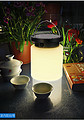 solar light garden light lawn lamp camping lantern