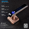 Integrated Handle Intelligent Lock