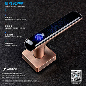 Integrated Handle Intelligent Lock