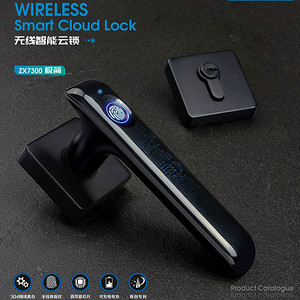 Minimalist Wireless Intelligent Cloud Lock