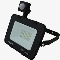 LED outdoor lawn lighting 30W projection light