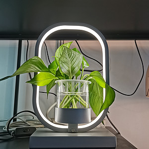 Home personality creative simple light luxury plant can change color desk lamp