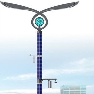 City Full Coverage New Energy Street Lamp