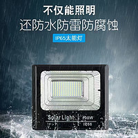 Rain Proof Lightning Protection Solar Floodlight