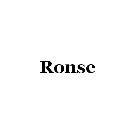 Foshan Ronse Lighting Technology Co., Ltd