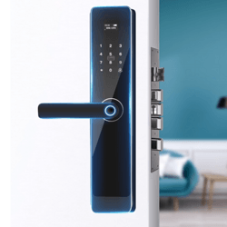 Prevent Robbers Protect Intelligent Door Lock