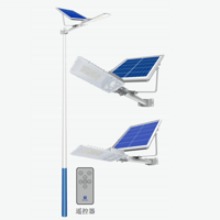 Outdoor bright spot park square LED solar street lamp