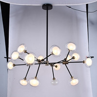 Branch Transparent Iron Art Chandelier