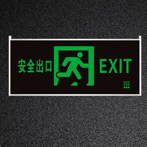 Emergency Exit Sign Light