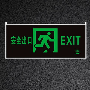 Emergency Exit Sign Light