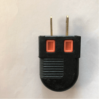 simple two-pin plug