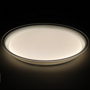 Silvery Modern Ceiling Lamp