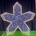 Outdoor creative personality lawn park LED five-pointed star landscape light