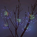 Outdoor LED waterproof decoration dandelion color light string