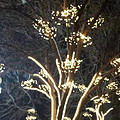 Outdoor highlighted LED garden garden vegetation decorative lights