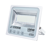 Outdoor Lighting IP66 Waterproof Highlight 100W Projection Light