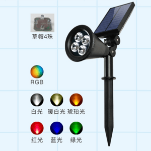 Outdoor solar garden landscape lighting highlighting buried lamp