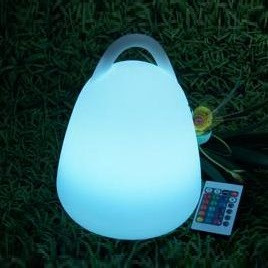 Remote Control Portable Landscape Night Light