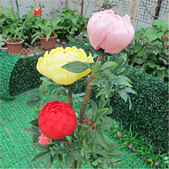 Outdoor garden courtyard simulation LED dynamic peony landscape lights