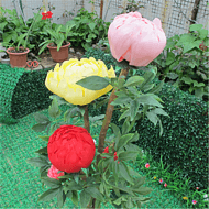 Outdoor garden courtyard simulation LED dynamic peony landscape lights