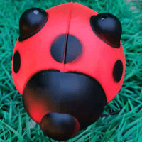 Outdoor Lawn Luminescent LED Dynamic Seven Star Ladybug Landscape Llamp