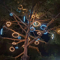 Outdoor LED hanging tree luminous circle shape lamp