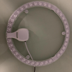 Indoor bright LED round white light source module