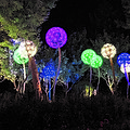 Outdoor patio lawn decorated with LED dandelion landscape lights