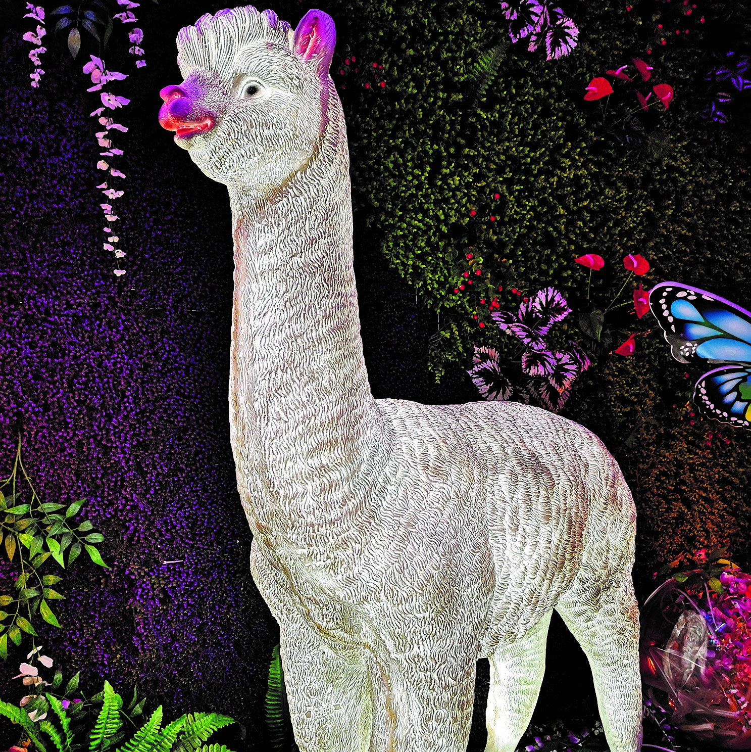 The outdoor patio lawn is decorated with LED luminescent alpaca lights