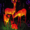 Outdoor garden courtyard LED landscape light sika deer lights