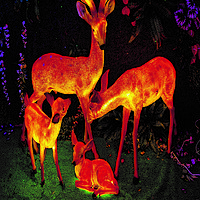 Outdoor garden courtyard LED landscape light sika deer lights