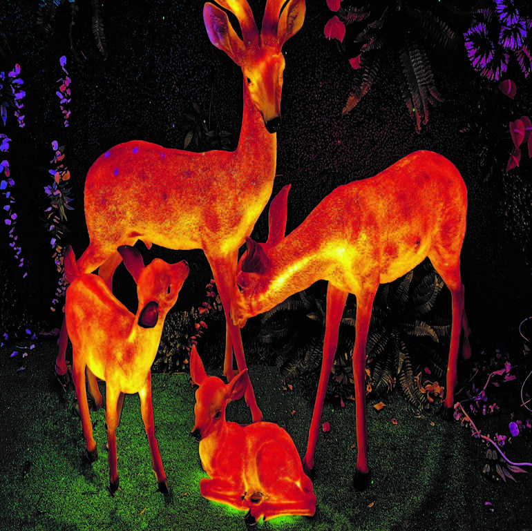 Outdoor garden courtyard LED landscape light sika deer lights