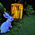 Outdoor patio lawn decorated with LED luminescent wooden post lights