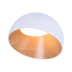 Nordic simple indoor dining room bedroom bright LED ceiling light