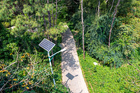The Price of 3LED Solar Light