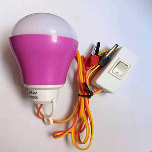 Outdoor bright DC12V color bulb light with switch