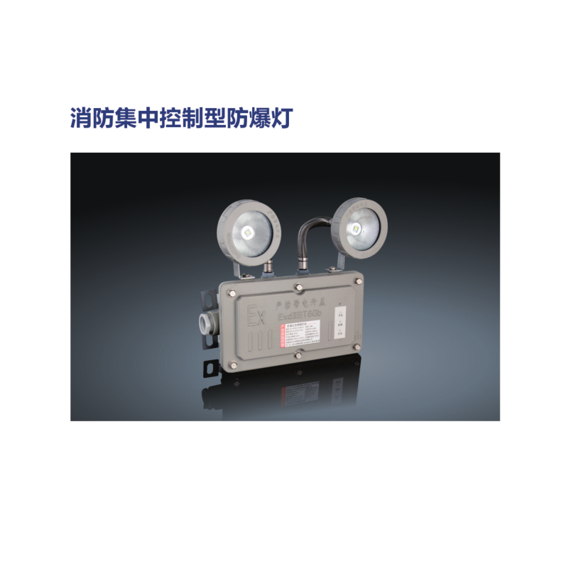 Double-lamp evacuation indication fire-fighting centralized control type explosion-proof lamp
