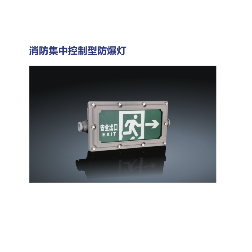 Evacuation exit sign fire centralized control type explosion-proof lamp