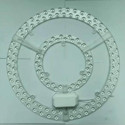 Dual-ring type LED lamp Ceiling light conversion light source