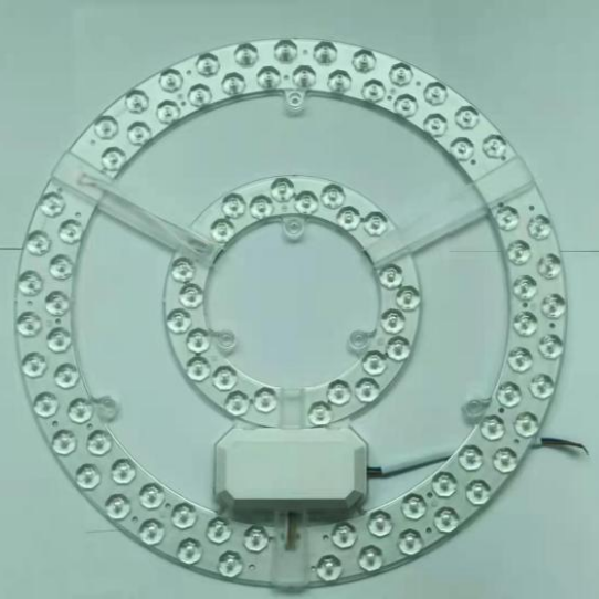 Dual-ring type LED lamp Ceiling light conversion light source