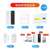 Customized smart lighting remote control terminal whole house smart solution