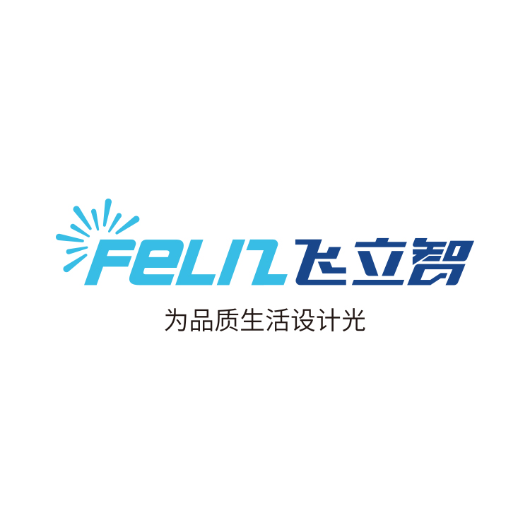 Jieyang Feilizhi Intelligent Technology Co., Ltd.