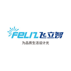 Jieyang Feilizhi Intelligent Technology Co., Ltd.
