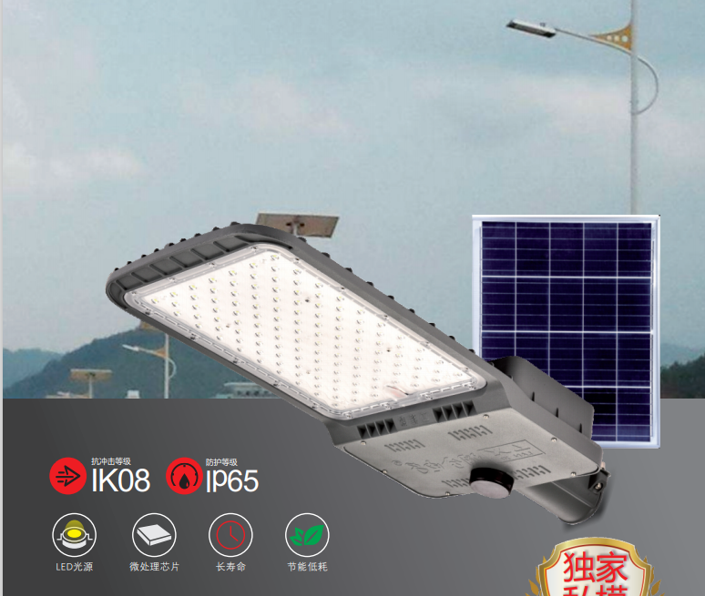 120W solar microwave induction solar street light