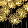 LED outdoor dandelion ground plug aluminum wire ball lawn lamp