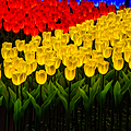 LED outdoor garden plug-in tulip garden light