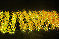 LED outdoor garden ground insert wheat ear flower tree lamp