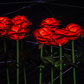 LED outdoor garden rose tree lamp